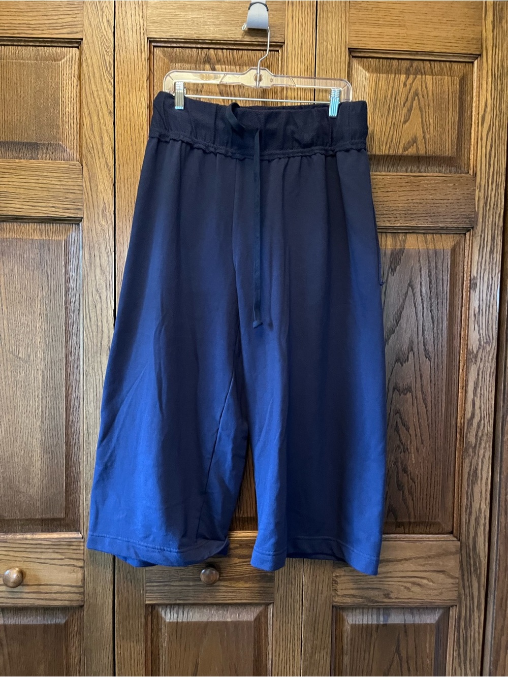 Free People beach Navy cropped pants